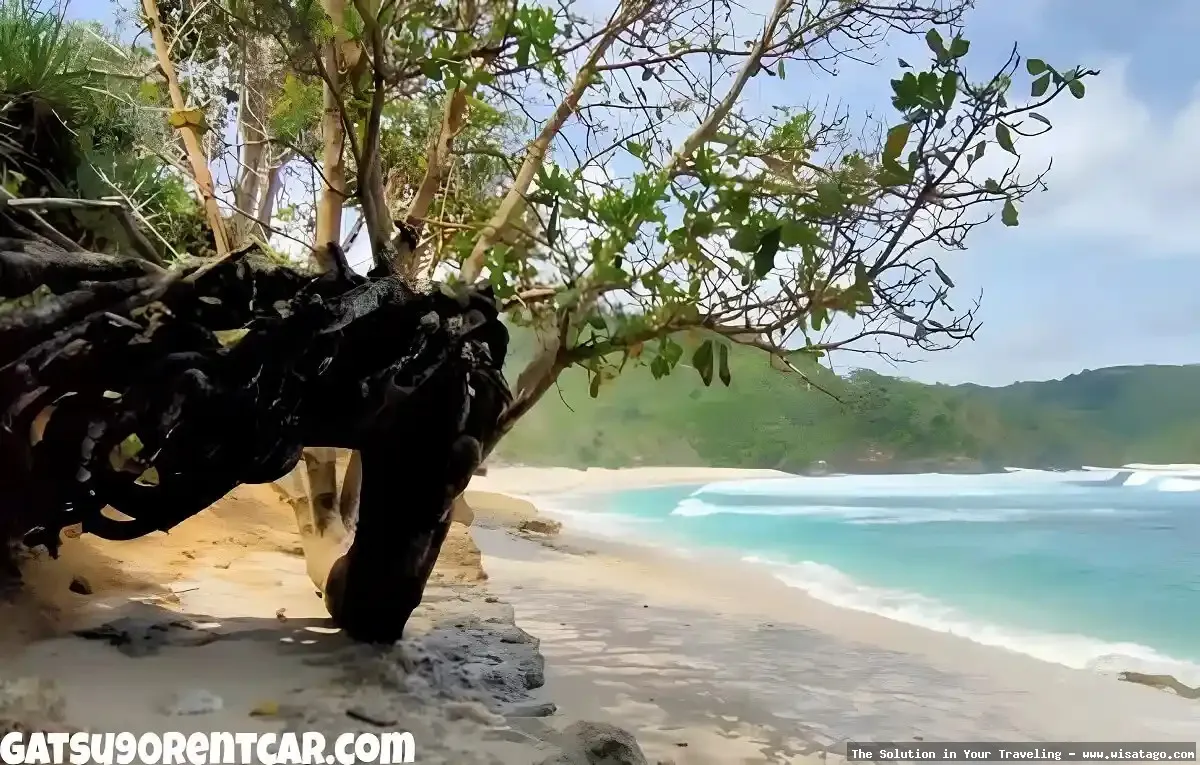 wisata Pantai Sanggar yang menawan