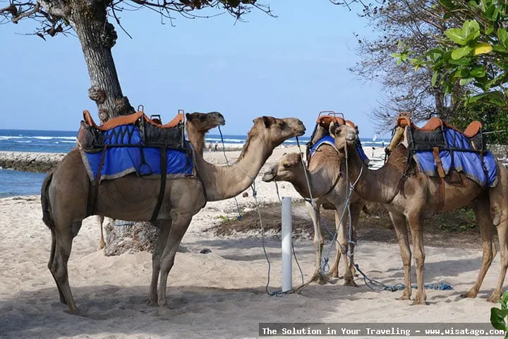 Wisata Pantai Sawang indah mempesona
