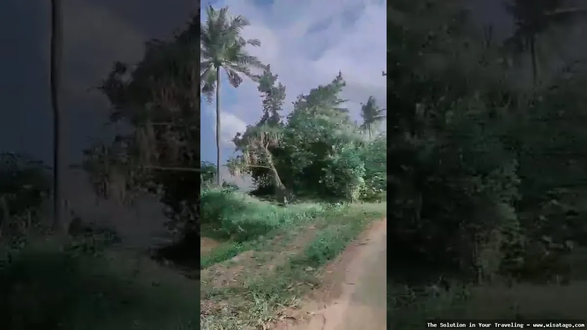 Wisata Pantai Sembulang yang mempesona