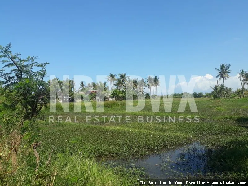 Wisata Pantai Sobo yang mempesona