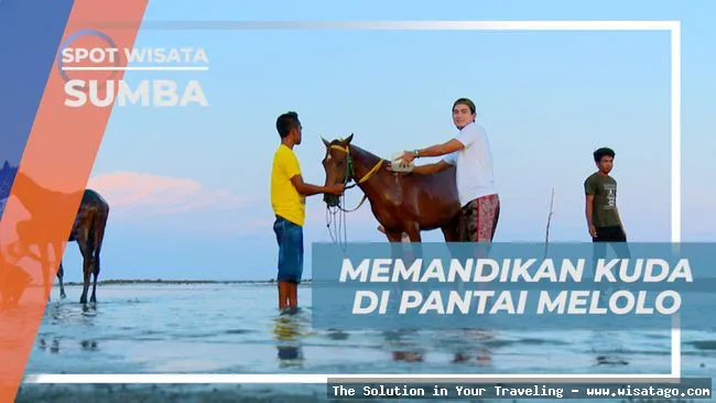 wisata Pantai Tanjung Melolo yang indah