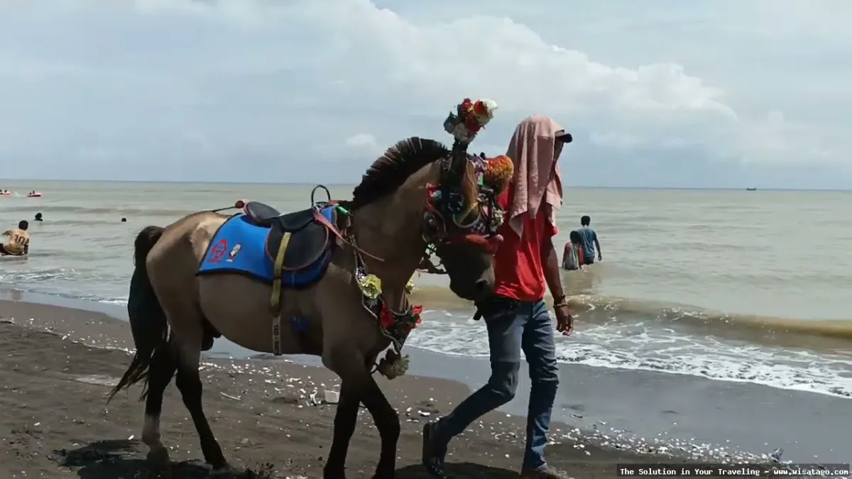 Wisata Pantai Tanjung Pakis Karawang indah