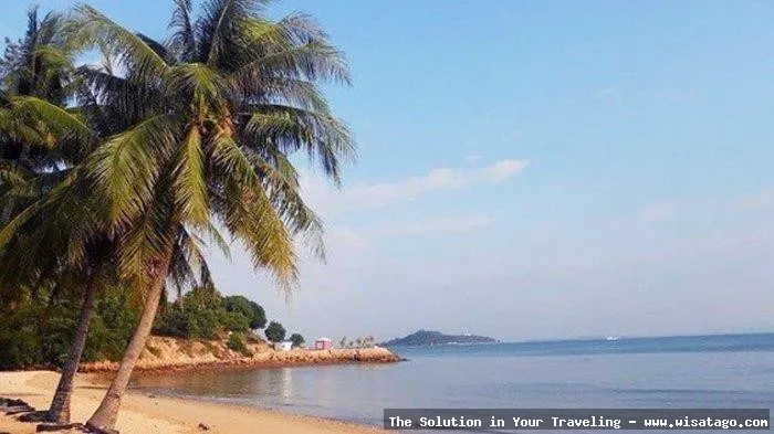 wisata Pantai Tanjung Pinggir yang indah