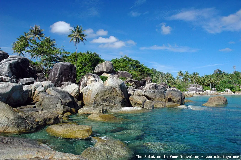 wisata Pantai Tanjung Tinggi memukau
