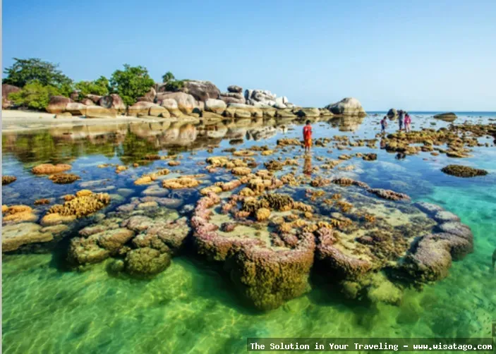 Wisata Pantai Tanjung Tinggi memukau