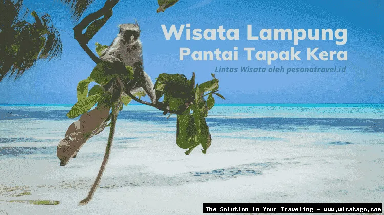 Wisata Pantai Tapak Kera yang memukau
