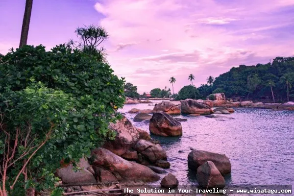 Wisata Pantai Teluk Empuk yang memukau