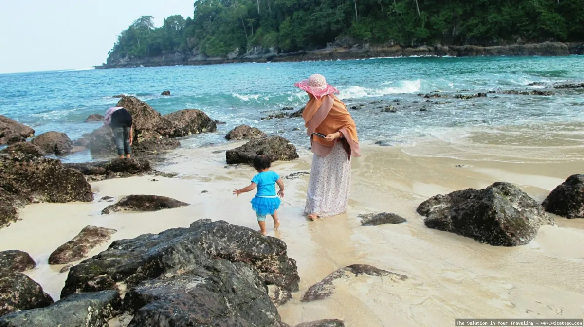 Wisata Pantai Teluk Empuk yang memukau