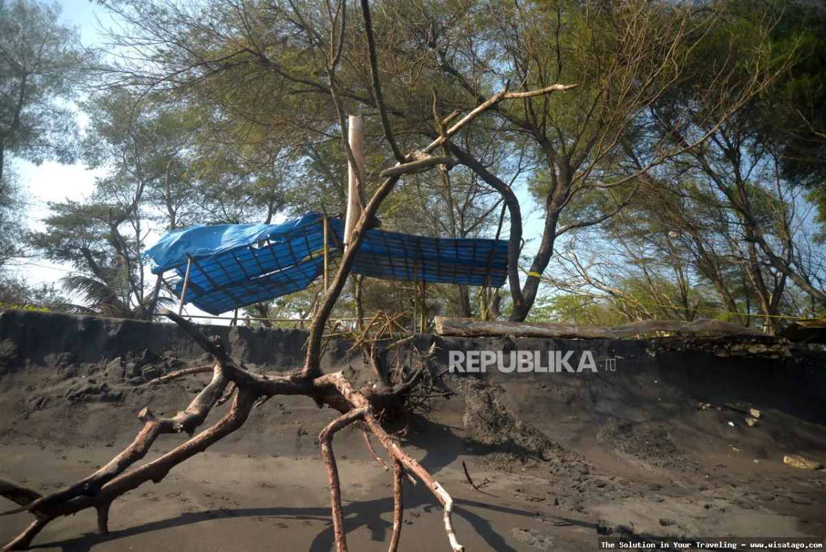 wisata Pantai Trisik yang mempesona