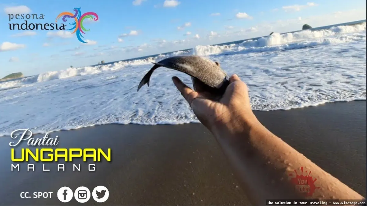 Wisata Pantai Ungapan yang menawan