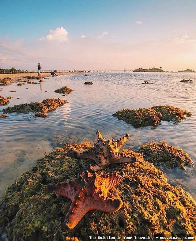 wisata Pantai Viovio yang memukau