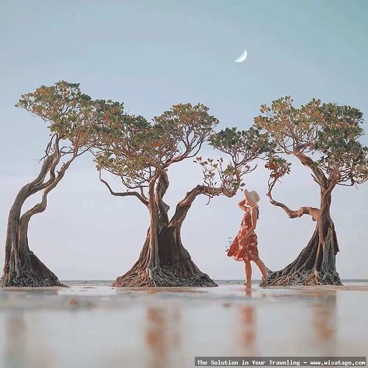 wisata Pantai Walakiri saat matahari terbenam