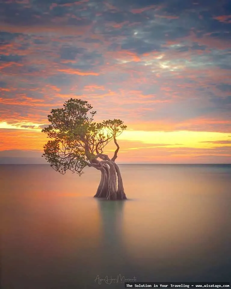 wisata Pantai Walakiri saat matahari terbenam