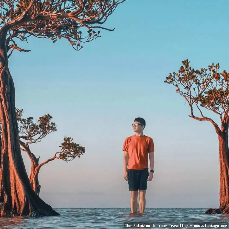 Wisata Pantai Walakiri saat matahari terbenam