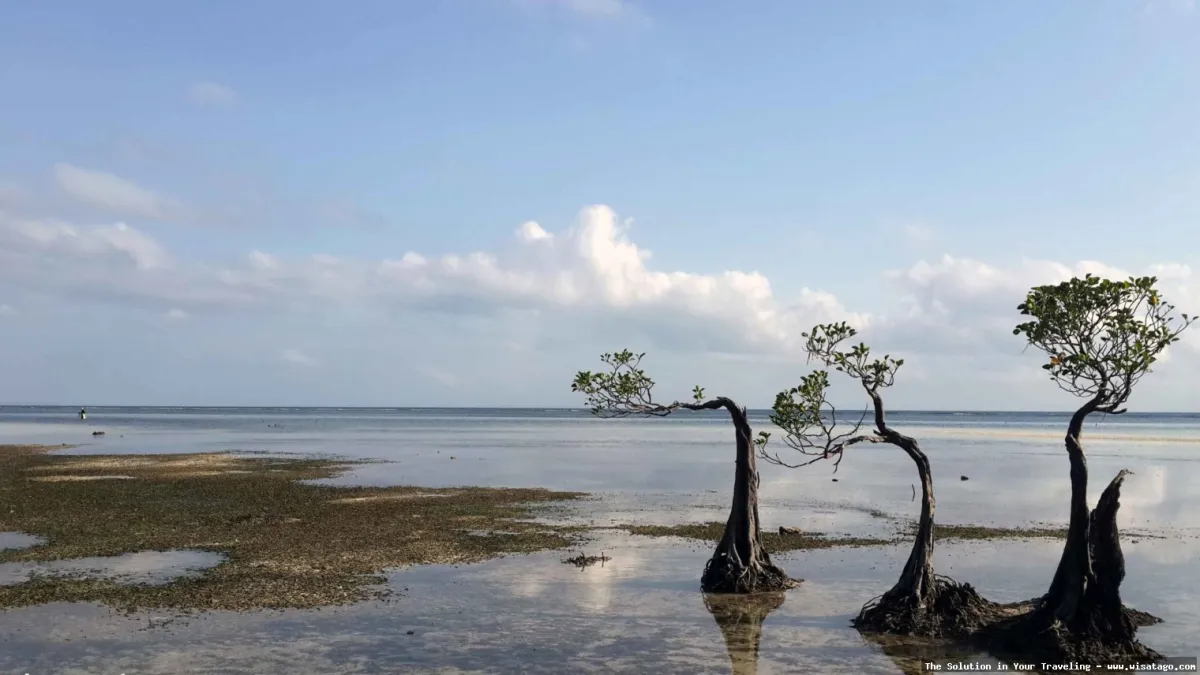 wisata Pantai Walakiri saat sunset indah
