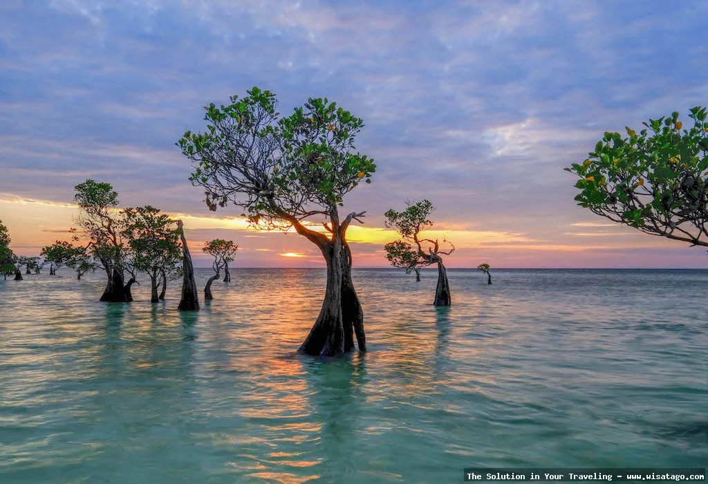 wisata Pantai Walakiri saat sunset memukau