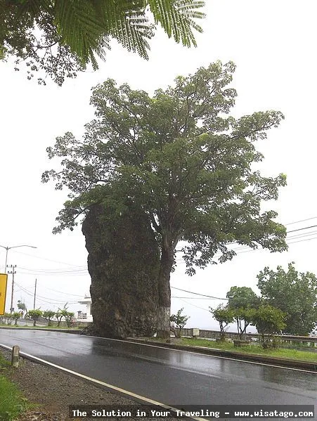 wisata Pantai Watu Dodol yang indah