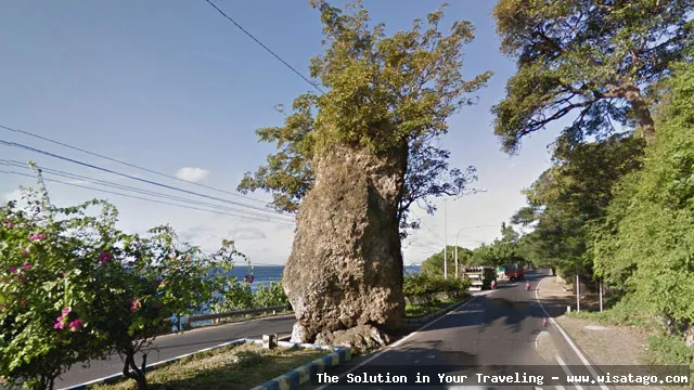 wisata Pantai Watu Dodol Banyuwangi