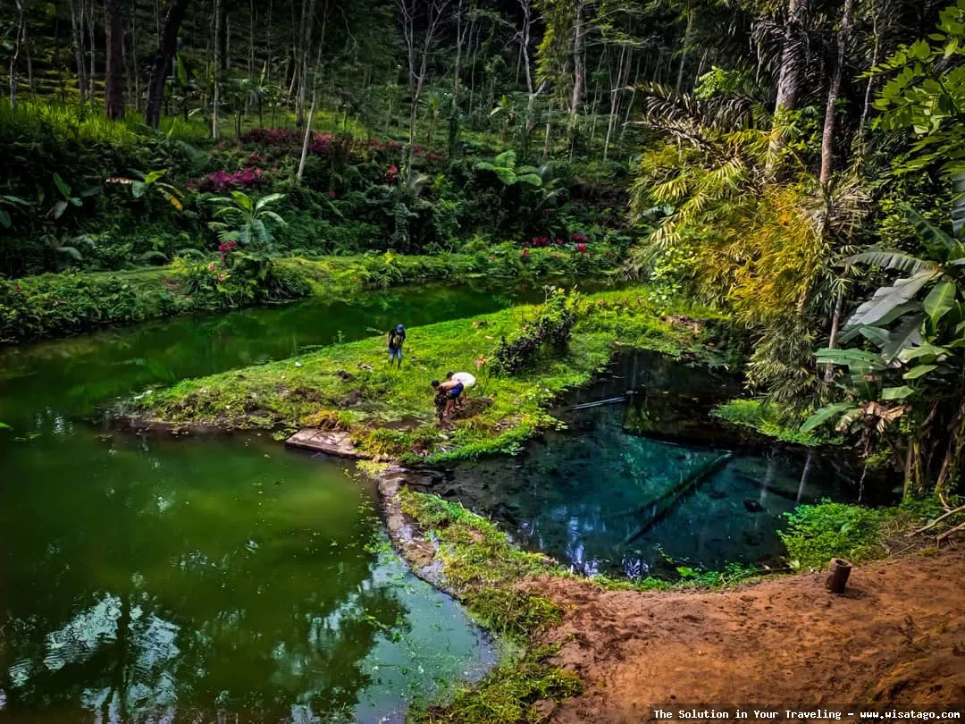 wisata Pemandian Umbulan yang menyegarkan