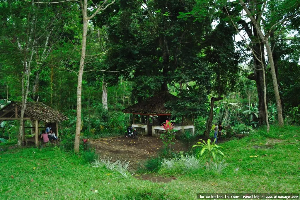 Wisata Pemandian Umbulan yang menyegarkan