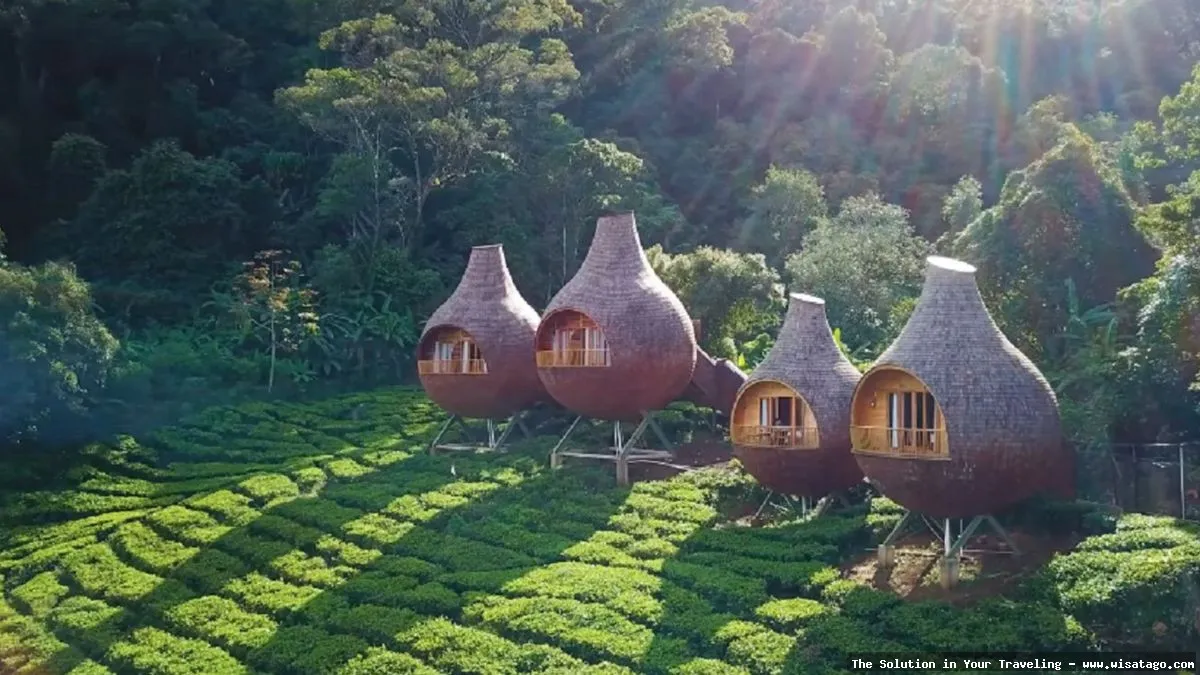wisata Penginapan Cak Sunar yang asri