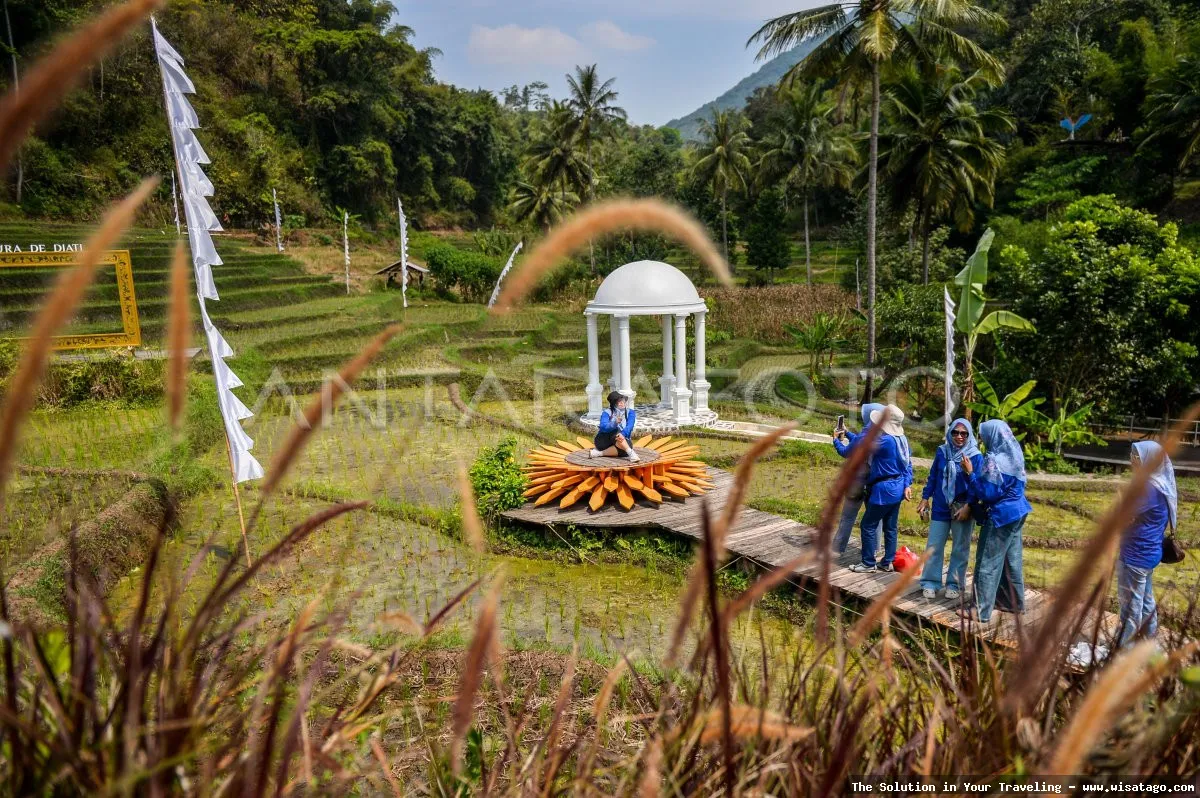 Wisata Persawahan Linggi yang memukau.