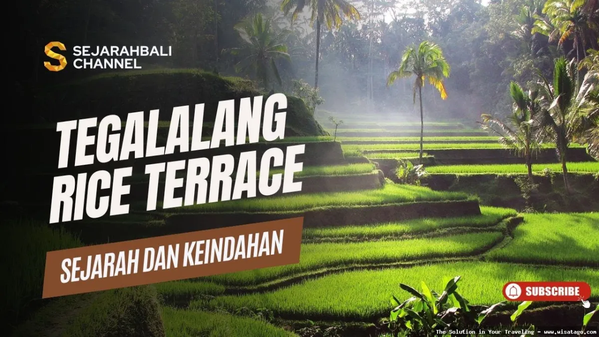 Wisata Persawahan Linggi yang memukau