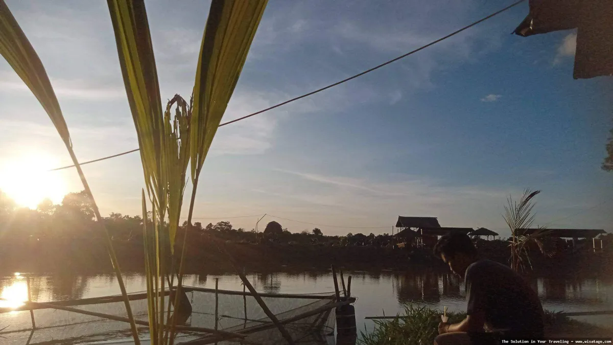 wisata Persawahan Linggi nan hijau