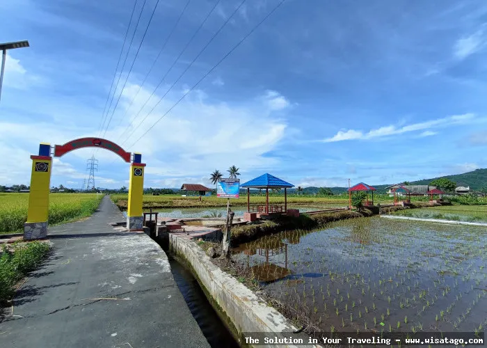 wisata Persawahan Linggi nan memukau