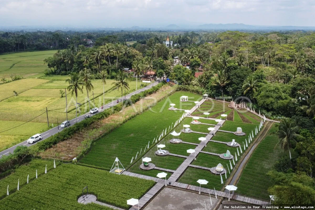 wisata Persawahan Linggi yang memukau