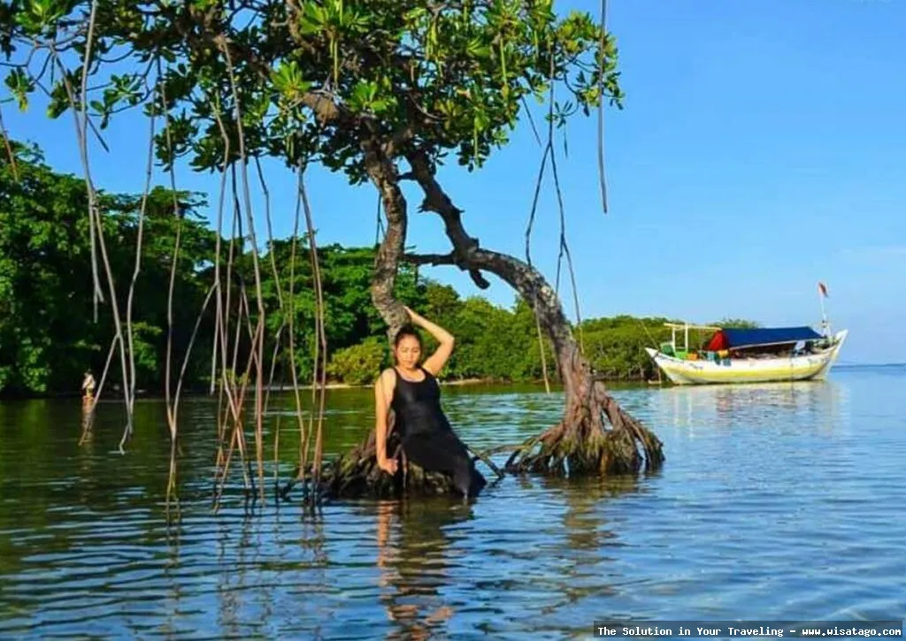 wisata Pulau Biawak Indramayu Jabar eksotis