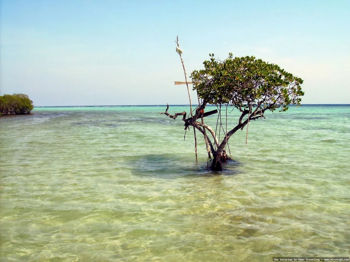 Wisata Pulau Biawak Indramayu Jabar eksotis