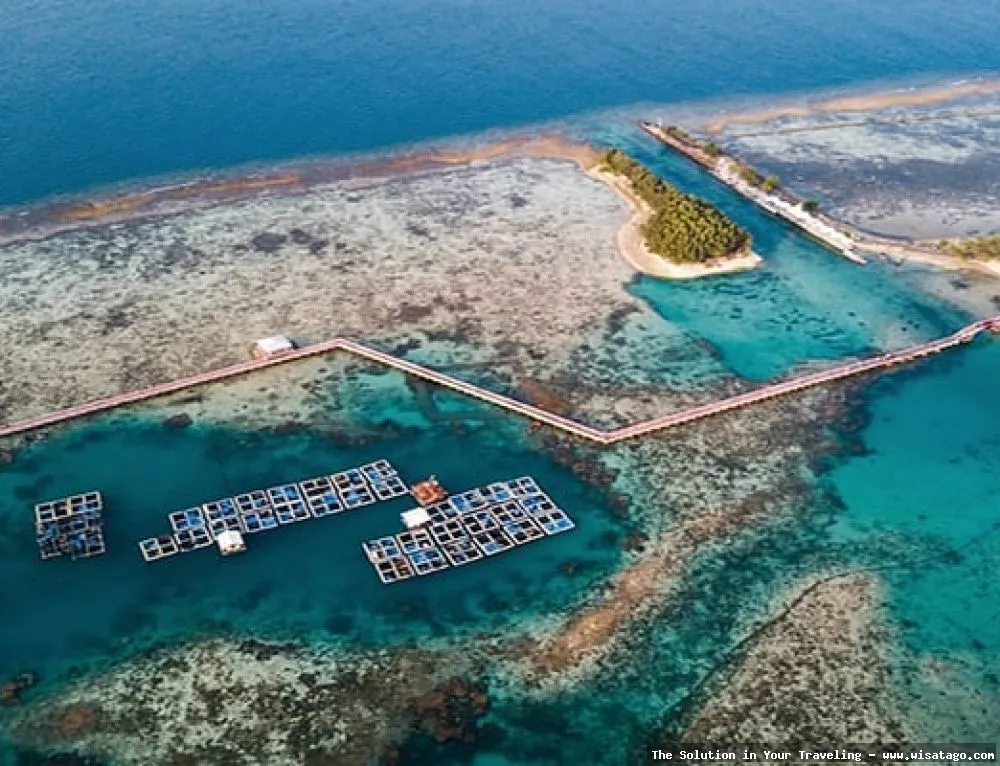 wisata Pulau Cipir yang memukau