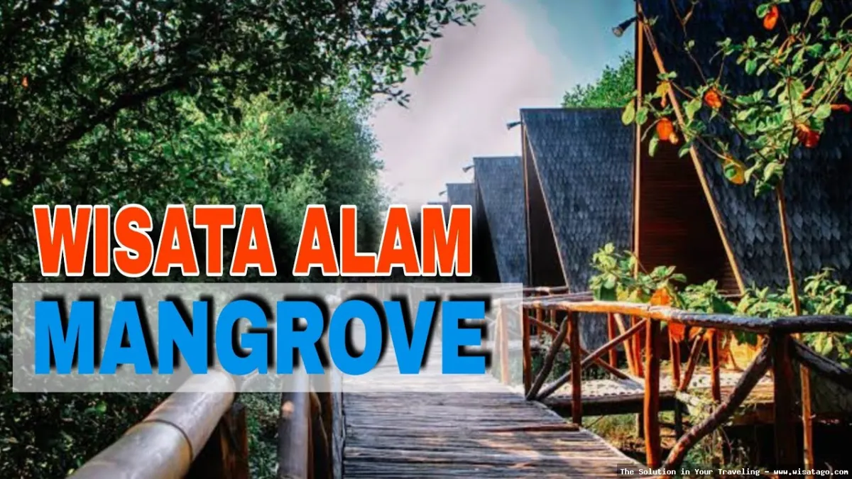 Wisata Pulau Kapuk yang menenangkan