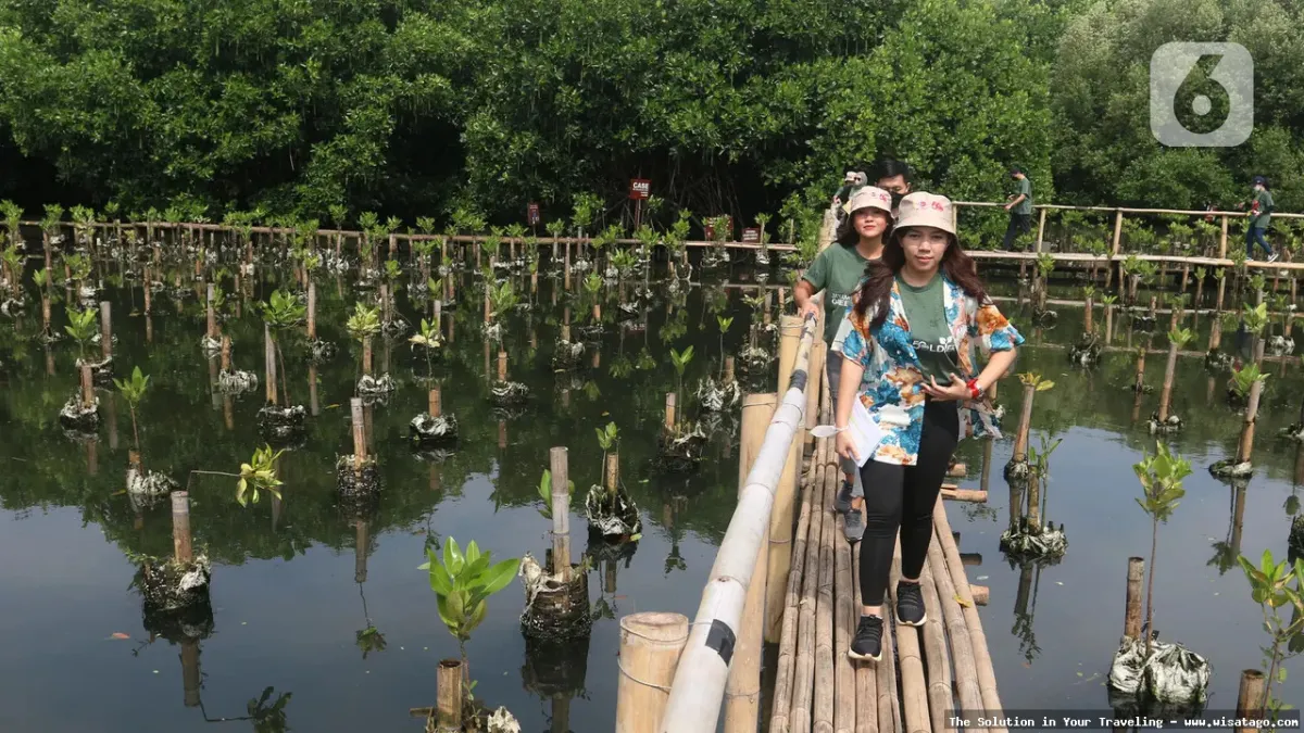 Wisata Pulau Kapuk yang menawan hati