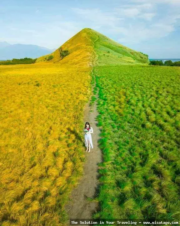 wisata Pulau Kenawa yang memukau