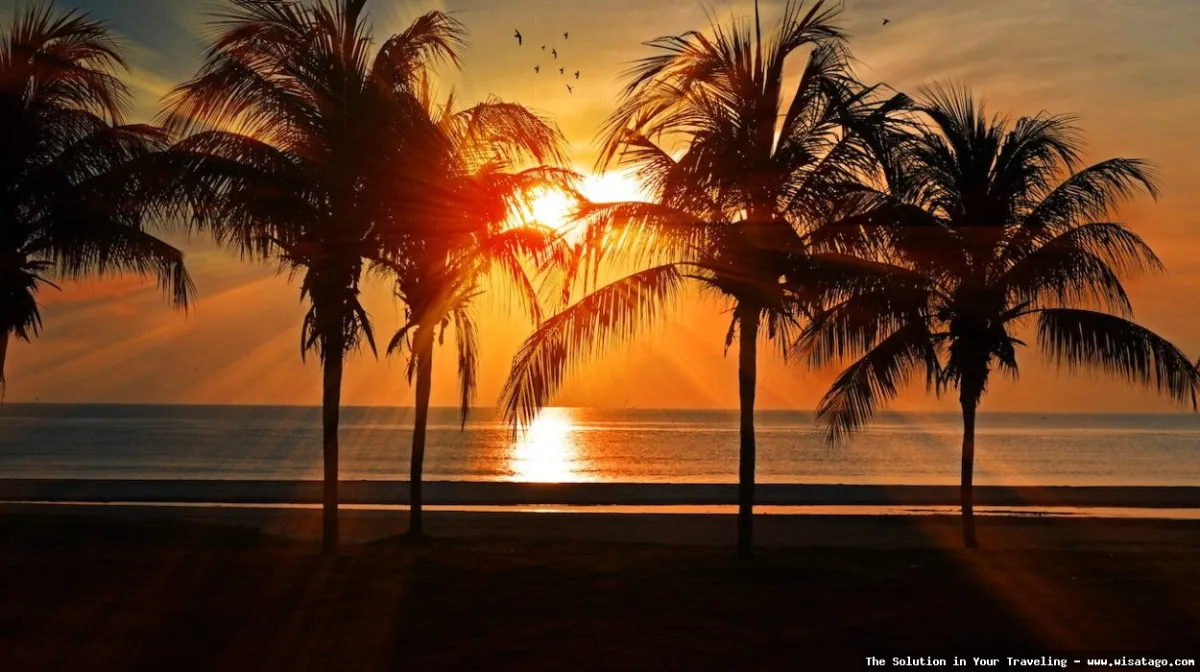 Wisata Pulau Muna: pantai pasir putih