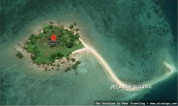Wisata Pulau Muna: pantai pasir putih