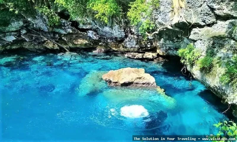 Wisata Pulau Muna: pantai pasir putih