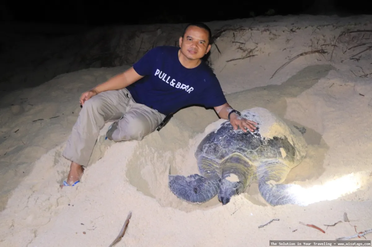 wisata Pulau Pahat, keindahan memukau