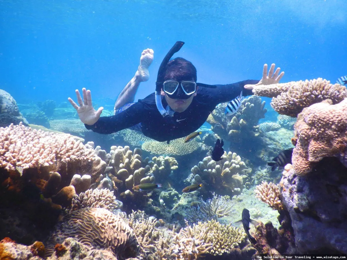 Wisata Pulau Panjang yang mempesona.