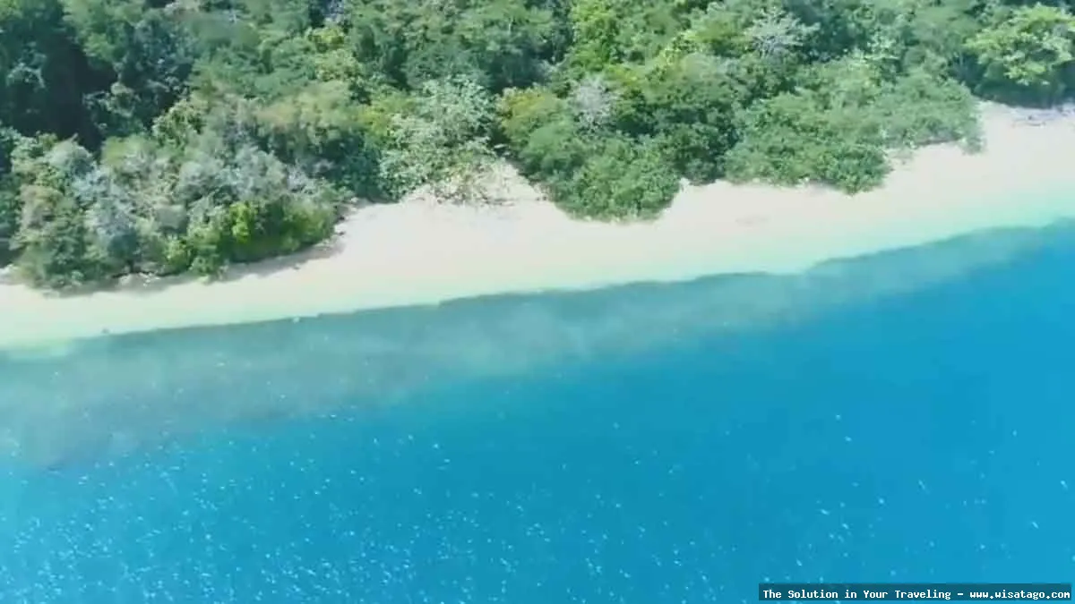 wisata Pulau Sempu, keindahan tersembunyi