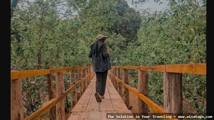 Wisata Pulau Semut yang memukau