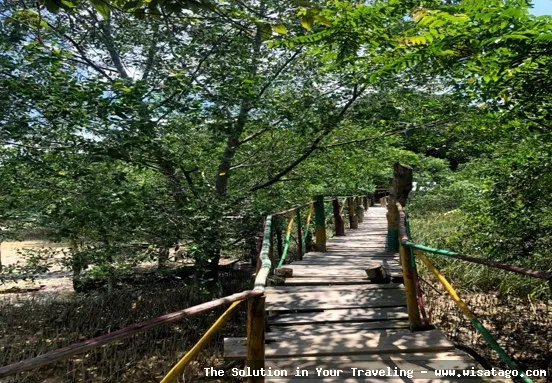 wisata Pulau Semut yang mempesona