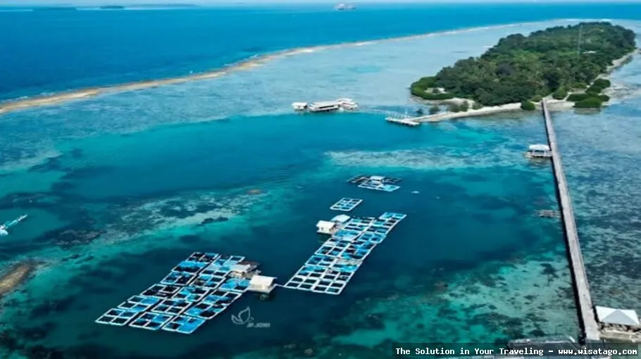 Wisata Pulau Setai yang mempesona