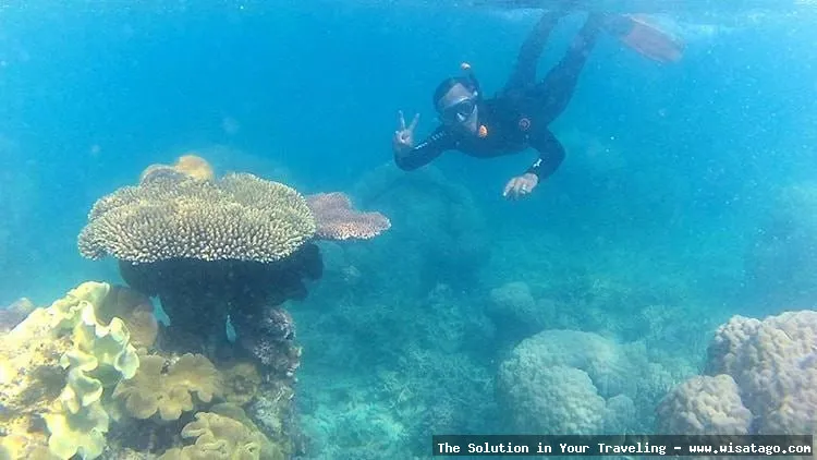 Wisata Pulau Temawan: pantai yang indah