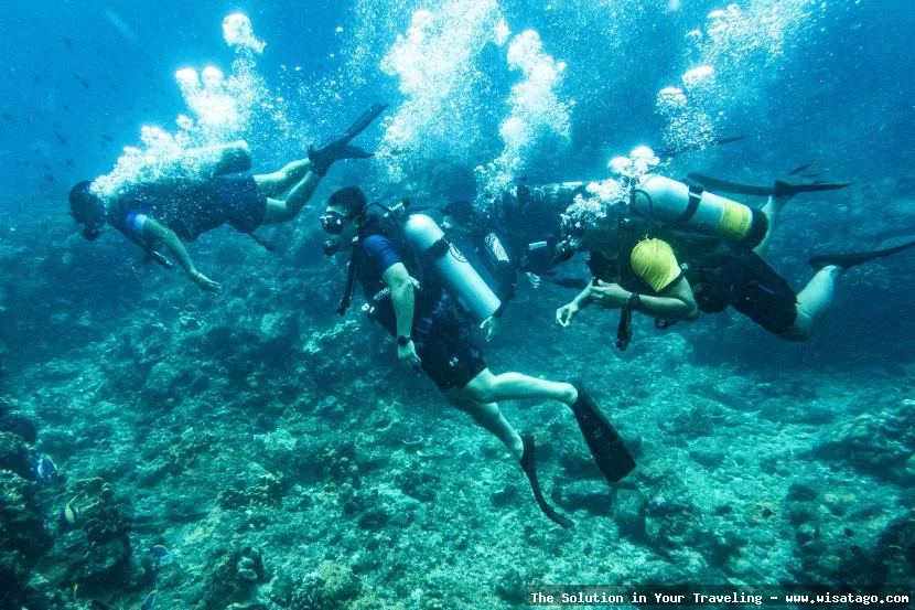 wisata Pulau Tokong Belayar nan eksotis