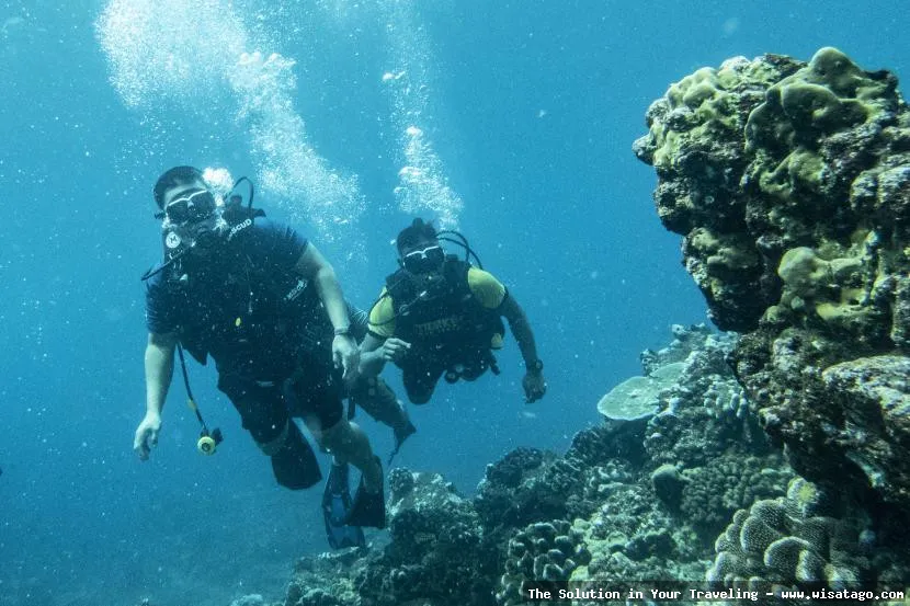 Wisata Pulau Tokong Belayar yang memukau