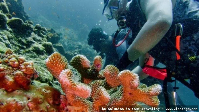 wisata Pulau Tokong Belayar nan indah