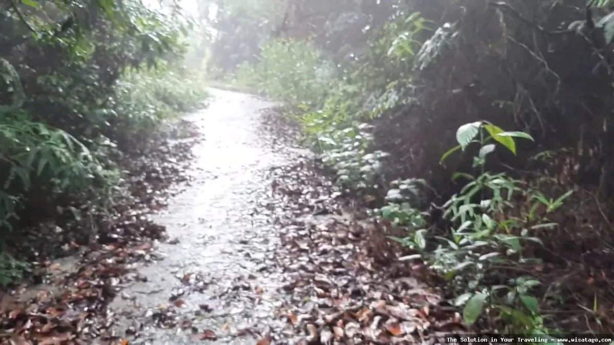 wisata Puncak Gunung Jantan yang indah